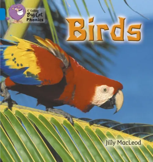 Birds - Jilly McLeod