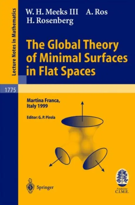 Global Theory of Minimal Surfaces in Flat Spaces - Meeks, W.H. III a Ros, A. a Rosenberg, H.