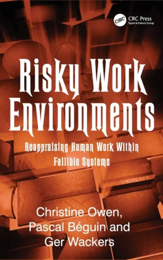 Risky Work Environments - Beguin, Pascal