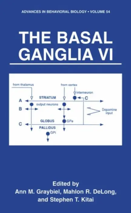 Basal Ganglia VI