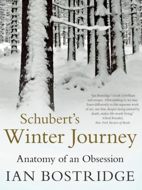 Schubert's Winter Journey - Bostridge, Dr Ian, CBE (Author)
