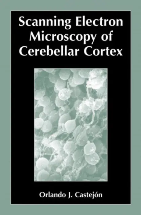 Scanning Electron Microscopy of Cerebellar Cortex - Castejon, Orlando