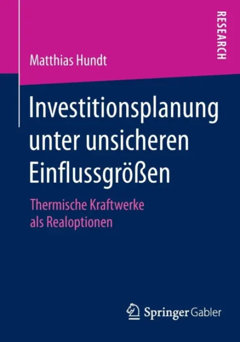 Investitionsplanung unter unsicheren EinflussgroĂźen - Hundt, Matthias