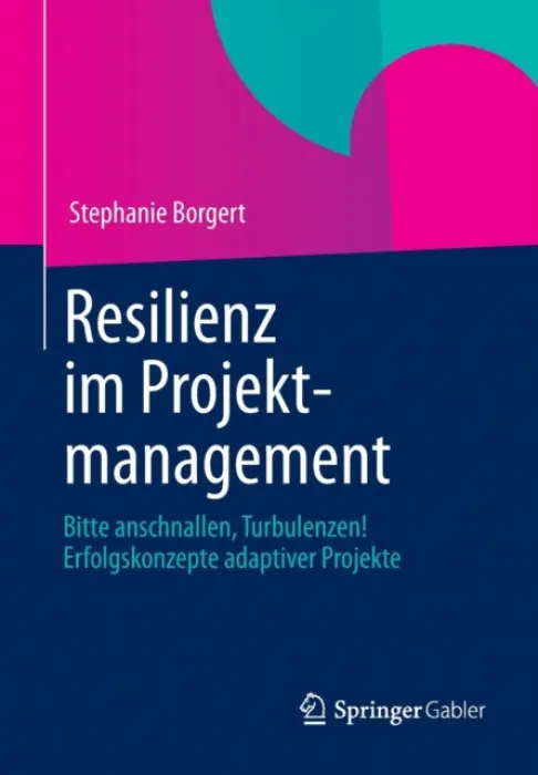 Resilienz im Projektmanagement - Borgert, Stephanie