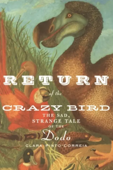 Return of the Crazy Bird - Pinto-Correia, Clara
