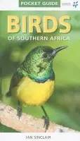 Birds of Southern Africa - Ian Sinclair