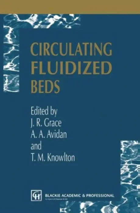 Circulating Fluidized Beds