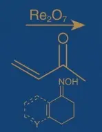 Comprehensive Organic Name Reactions and Reagents, 3 Volume Set