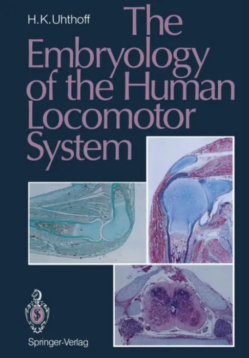Embryology of the Human Locomotor System - Uhthoff, Hans K.