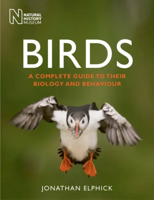 Birds - Elphick, Jonathan