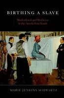 Birthing a Slave - Schwartz, Marie Jenkins