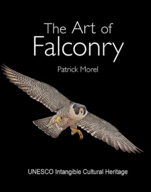 Art of Falconry - Morel, Mr Patrick