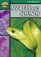 Rapid Reading: Secrets & Sounds (Stage 5, Level 5B) - Haydn Middleton
