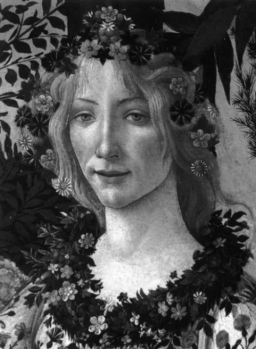 Botticelli - Alessandro Cecchi