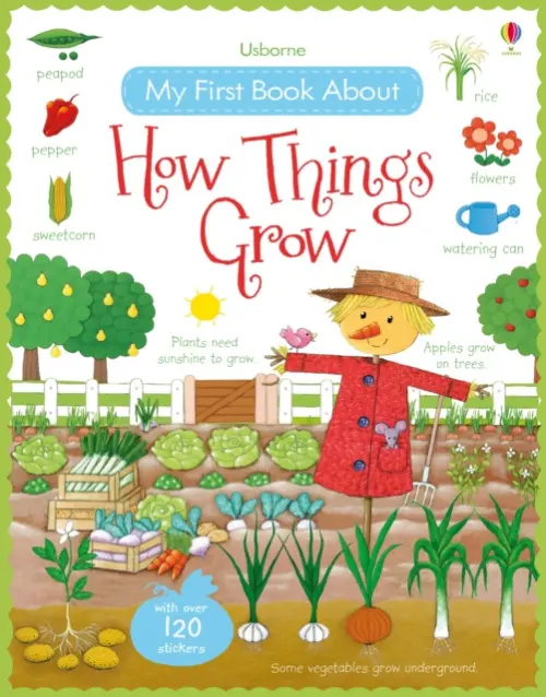 My First Book About How Things Grow - Brooks, Felicity