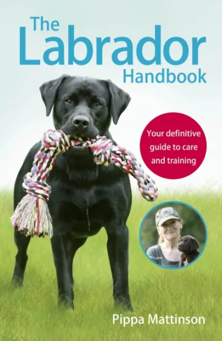Labrador Handbook - Mattinson, Pippa