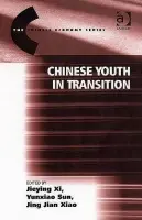 Chinese Youth in Transition - Xi, Jieying a Sun, Yunxiao