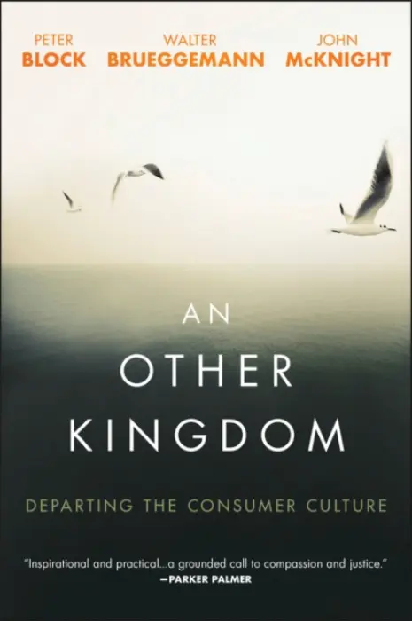 Other Kingdom - Block, Peter (Peter Block Company and Designed Learning) a Brueggemann, Walter a McKnight, John