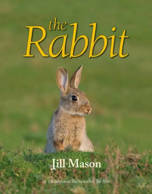 Rabbit - Mason, Jill