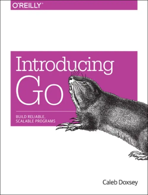Introducing Go - Doxsey, Caleb