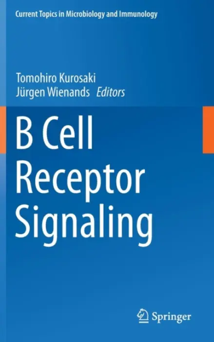 B Cell Receptor Signaling