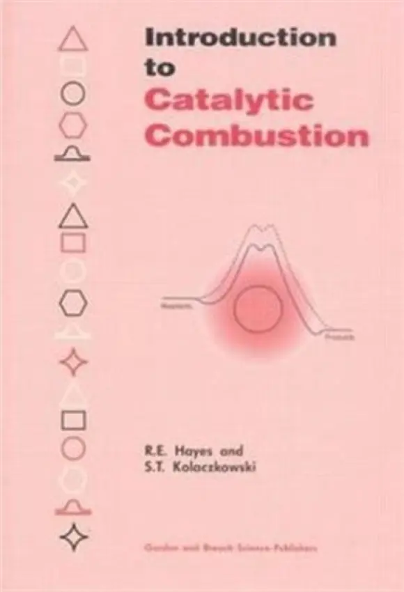 Introduction to Catalytic Combustion - Hayes, R.E.