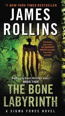 Bone Labyrinth - Rollins, James