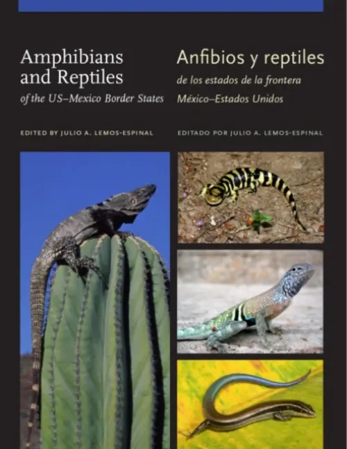 Amphibians and Reptiles of TheUS-Mexico Border States/Anfibios Y Reptiles De Los Estados De La Frontera Mexico-Estados Unidos - Lemos-Espinal, Julio A.