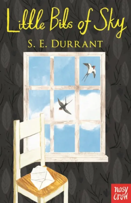 Little Bits of Sky - Durrant, S. E.