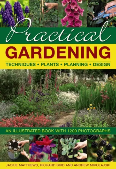 Practical Gardening - Jackie Matthews
