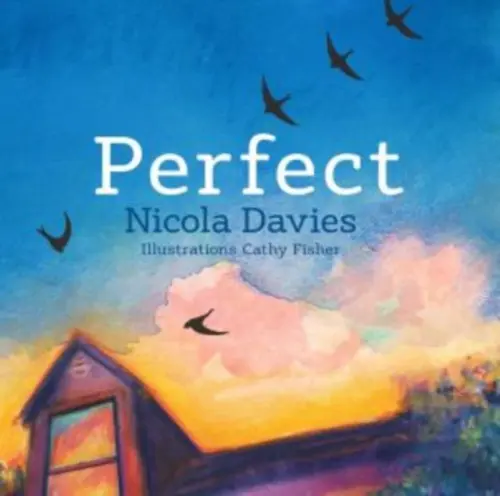 Perfect - Davies, Nicola