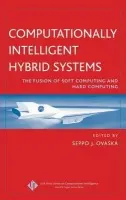 Computationally Intelligent Hybrid Systems