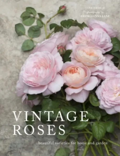 Vintage Roses - Eastoe, Jane