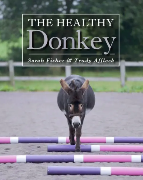 Healthy Donkey - Affleck, Trudy a Fisher, Sarah