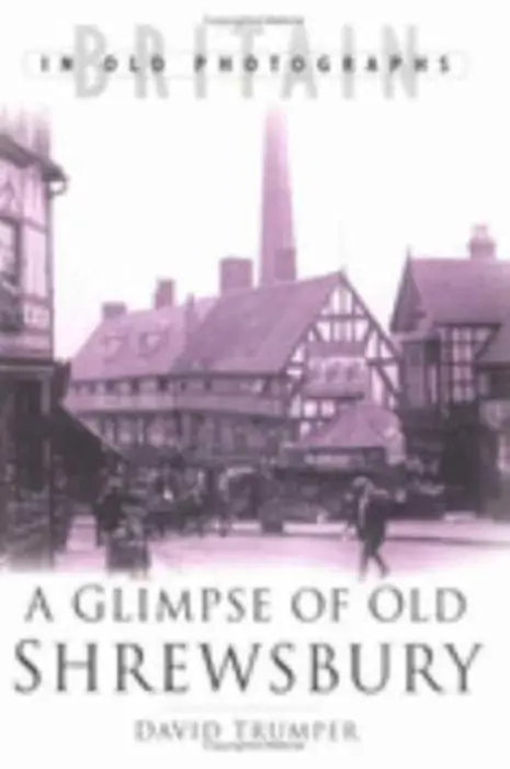 Glimpse of Old Shrewsbury - Trumper, David