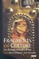 Fragments of Culture