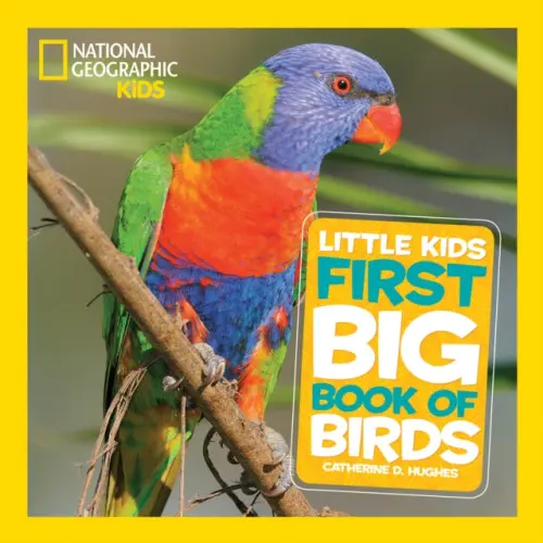 National Geographic Little Kids First Big Book of Birds - Catherine D. Hughes, National National Geographic Kids