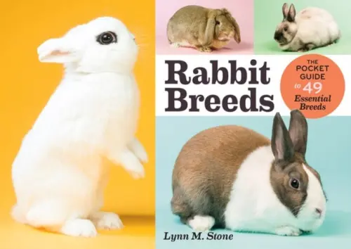 Rabbit Breeds - M. Stone, Lynn