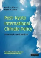 Post-Kyoto International Climate Policy