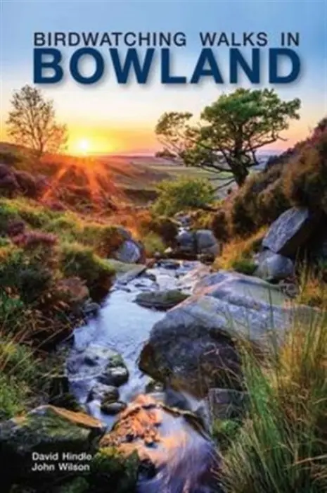 Birdwatching Walks in Bowland - Hindle, David a Wilson, John