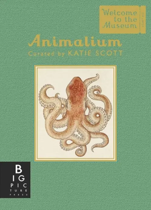 Animalium - Jenny Broom, Katie Scott (ilustrácie)