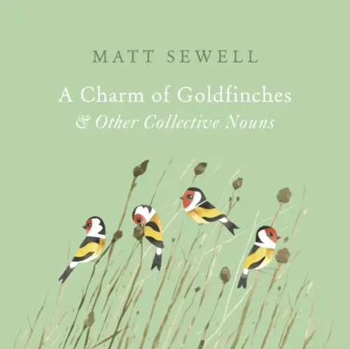 Charm of Goldfinches and Other Collective Nouns - Sewell, Matt