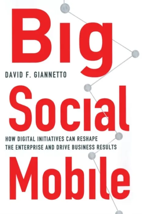 Big Social Mobile - Giannetto, D.