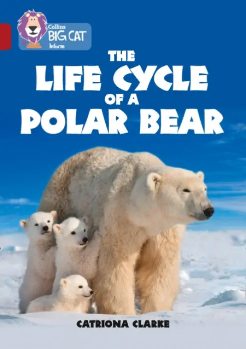 Life Cycle of a Polar Bear - Clarke, Catriona