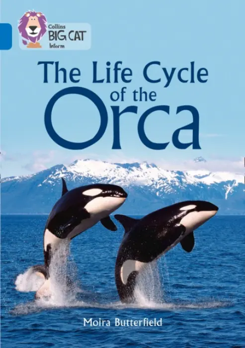 Life Cycle of the Orca - Butterfield, Moira