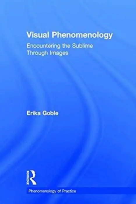 Visual Phenomenology - Goble, Erika