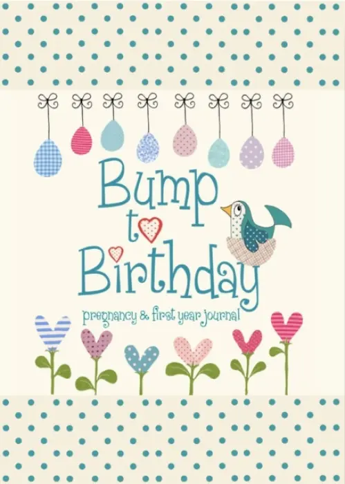 Bump to Birthday, Pregnancy & First Year Journal - from you to me, Helen a Stephens
