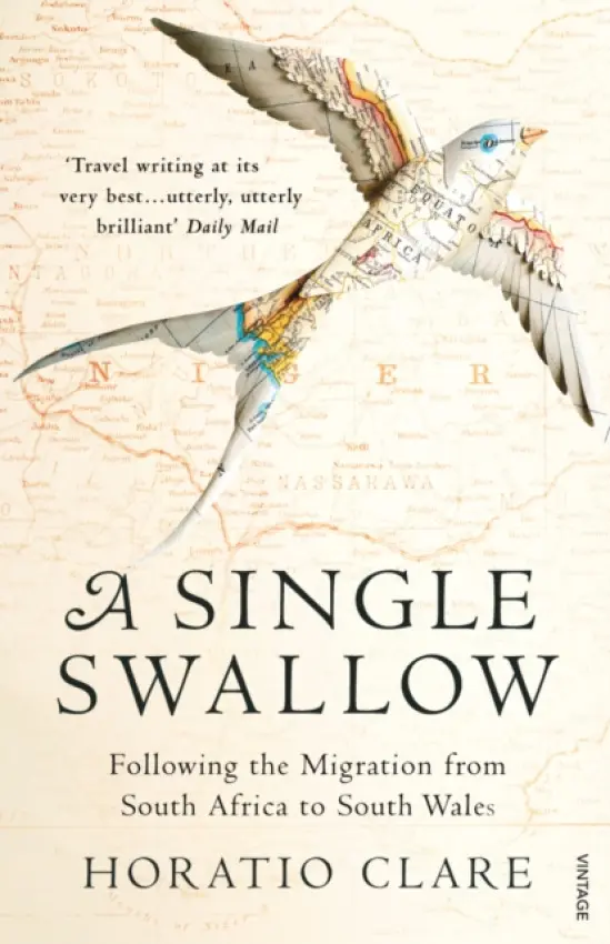 Single Swallow - Clare, Horatio