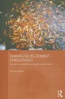 China's Development Challenges - Schiere, Richard