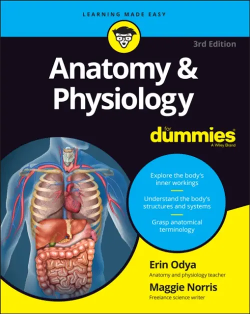 Anatomy & Physiology For Dummies - Odya, Erin a Norris, Maggie A.